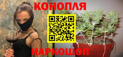 шишки Бийск