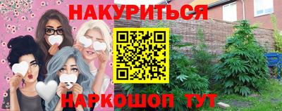 шишки Бийск