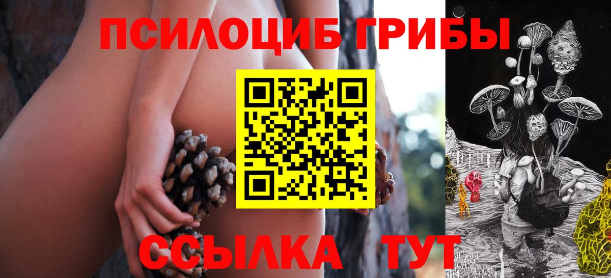 Галлюциногенные грибы прущие грибы  Вход с VPN  Галлюциногенные грибы Psilocybe  Зеленодольск 